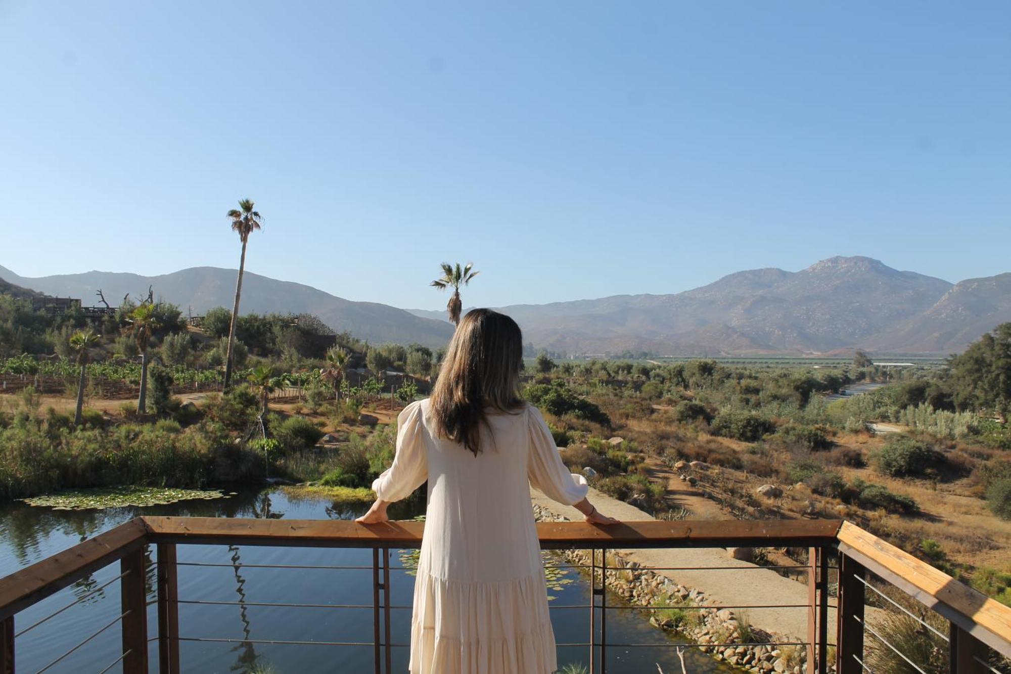 Bruma Wine Resort Valle de Guadalupe Bagian luar foto
