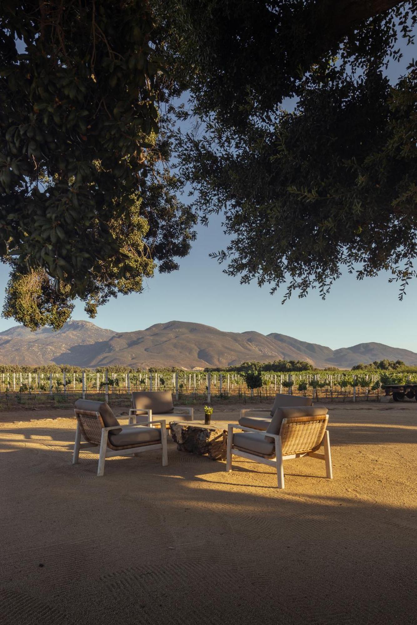 Bruma Wine Resort Valle de Guadalupe Bagian luar foto