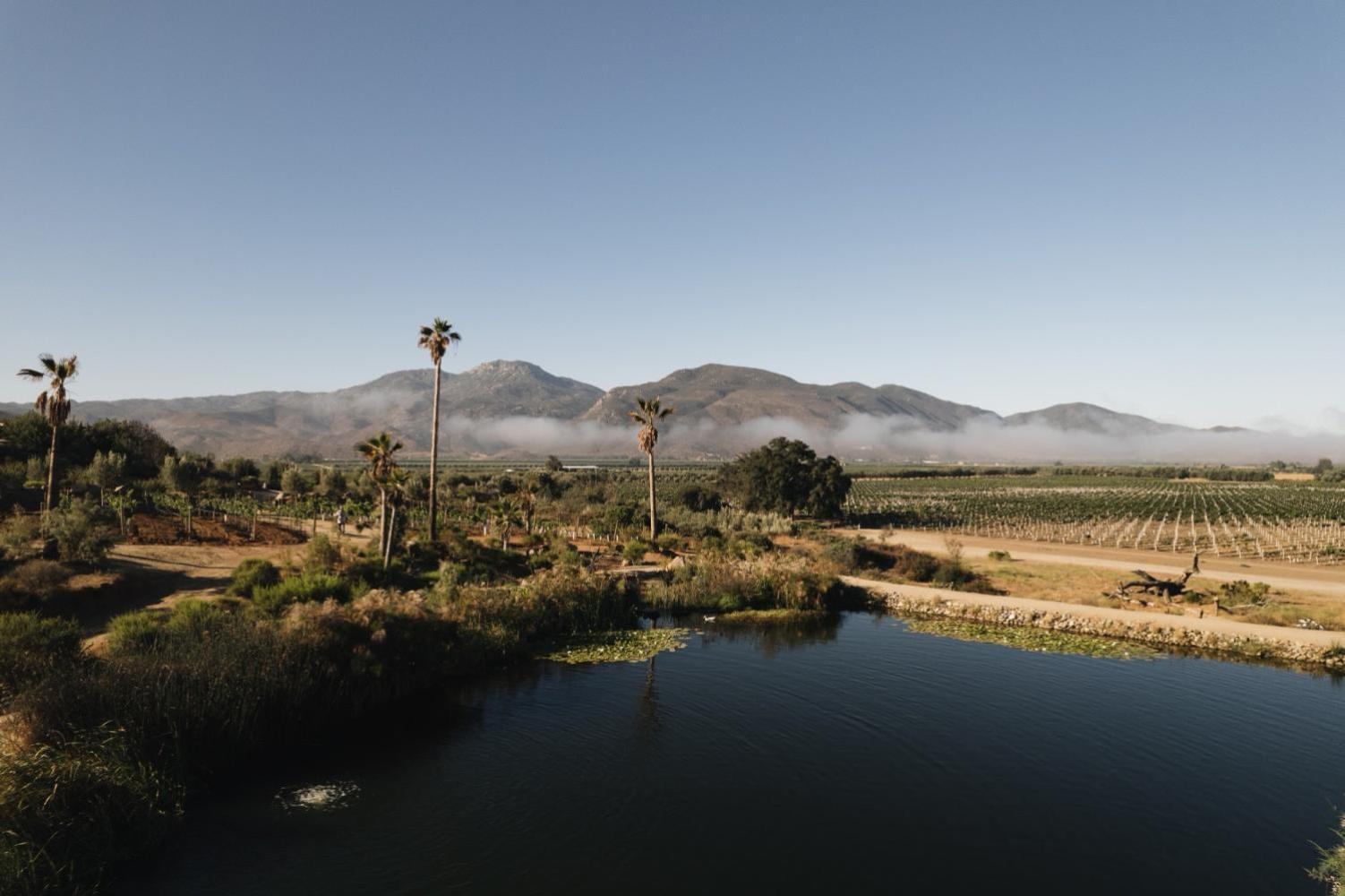 Bruma Wine Resort Valle de Guadalupe Bagian luar foto