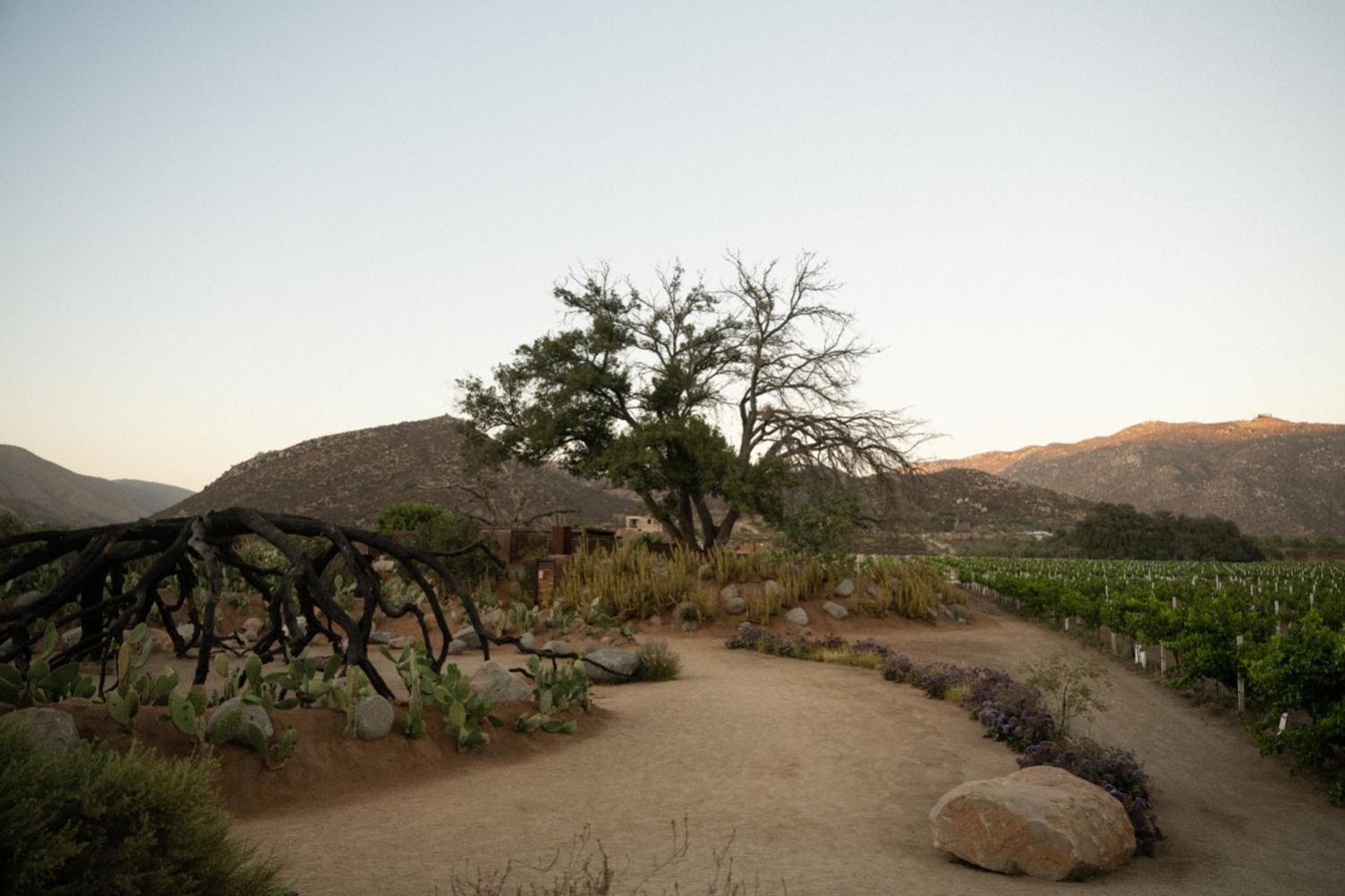 Bruma Wine Resort Valle de Guadalupe Bagian luar foto